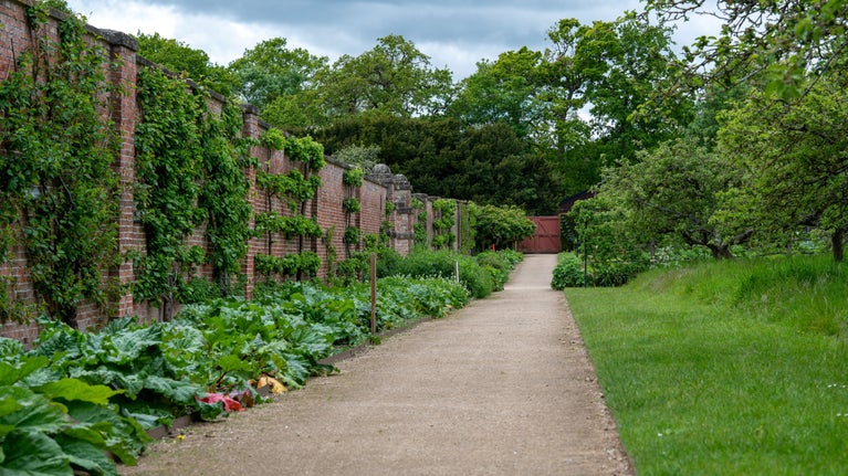 View across the walled kitchen garden